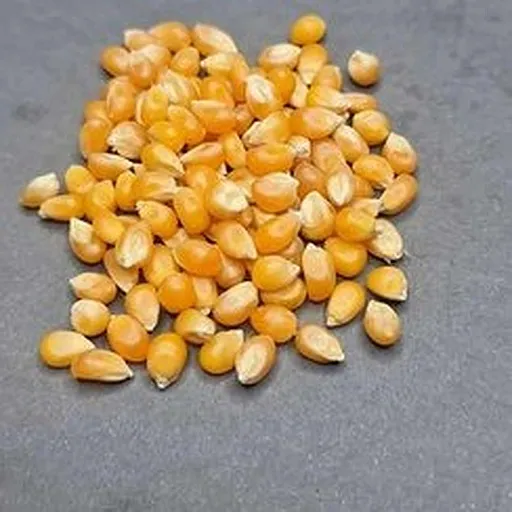 هراتی ساده ( نیم کیلویی)  